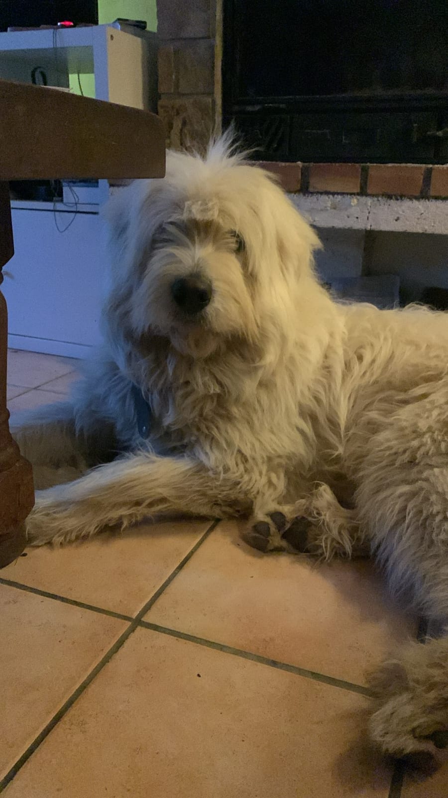 Doug