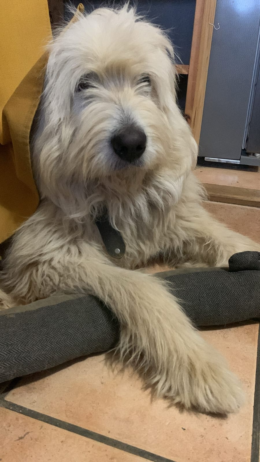 Doug