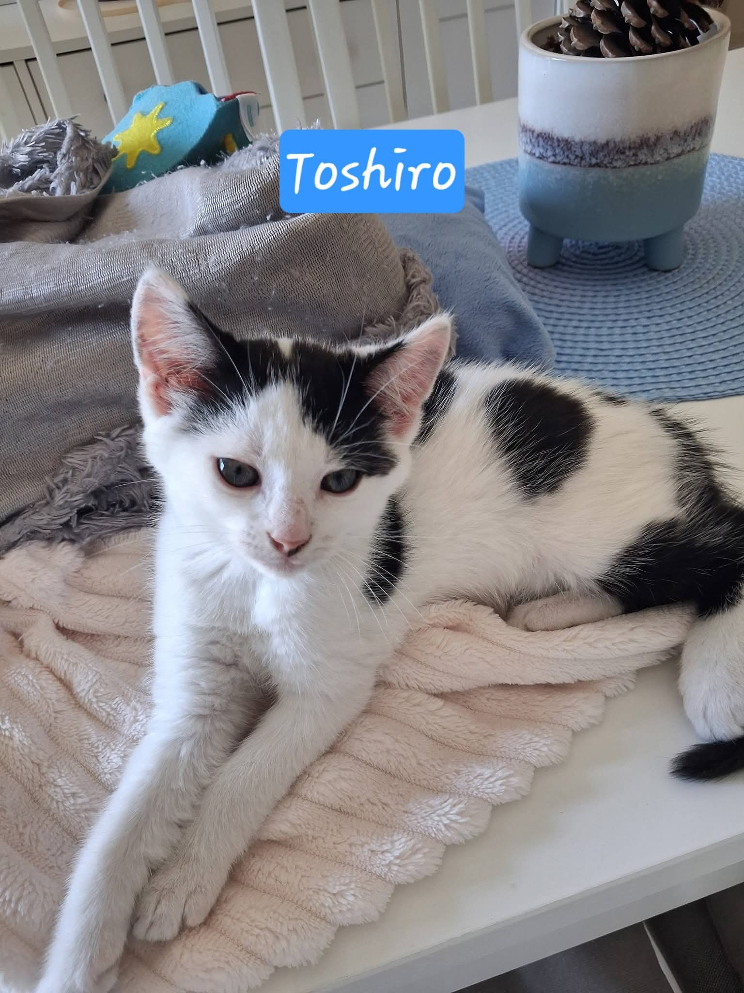 Toshiro