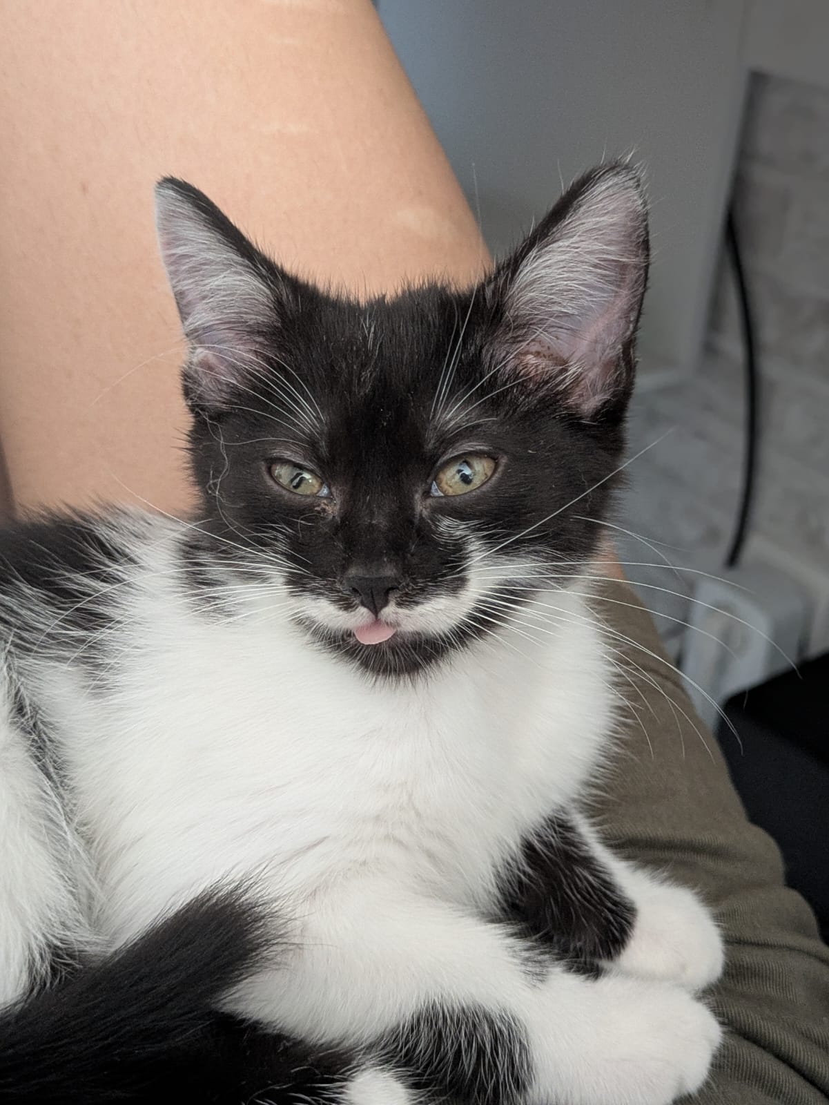 Misu